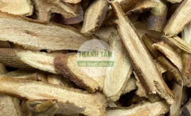 Tang ký sinh | Cửa Hàng Dược Liệu Thanh Tâm