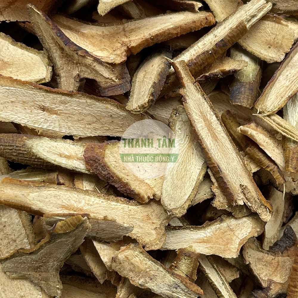 Mulberry Mistletoe – TCM herb for Liver-Kidney support and stronger tendons and bones