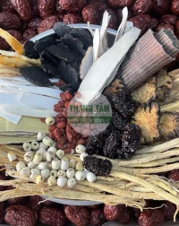 Thang Tiềm gà thuốc bắc | Cửa Hàng Dược Liệu Thanh Tâm