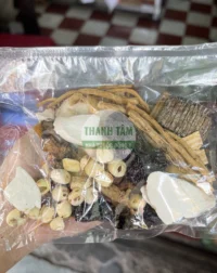 Thang Tiềm gà thuốc bắc mặt sau | Cửa Hàng Dược Liệu Thanh Tâm