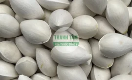 Vị thuốc Bạch quả | Cửa Hàng Dược Liệu Thanh Tâm