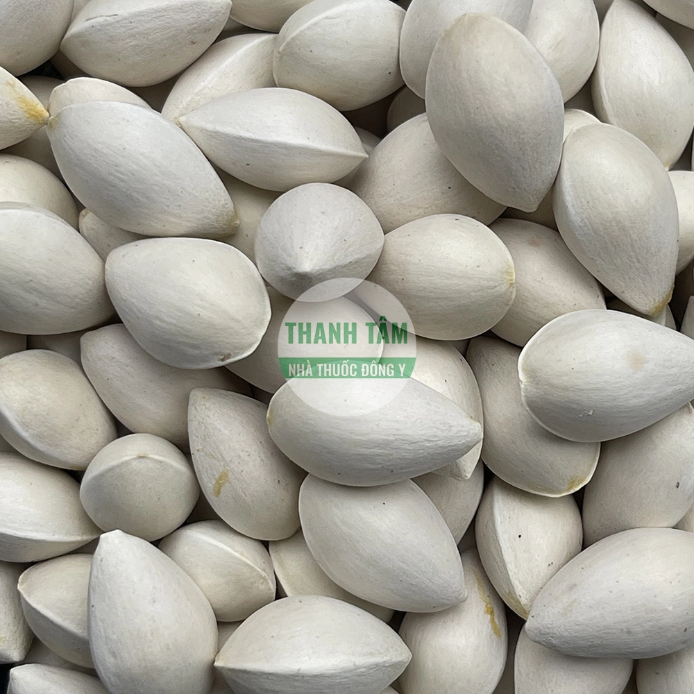 Bạch quả – hạt ngân hạnh dùng trong Đông y