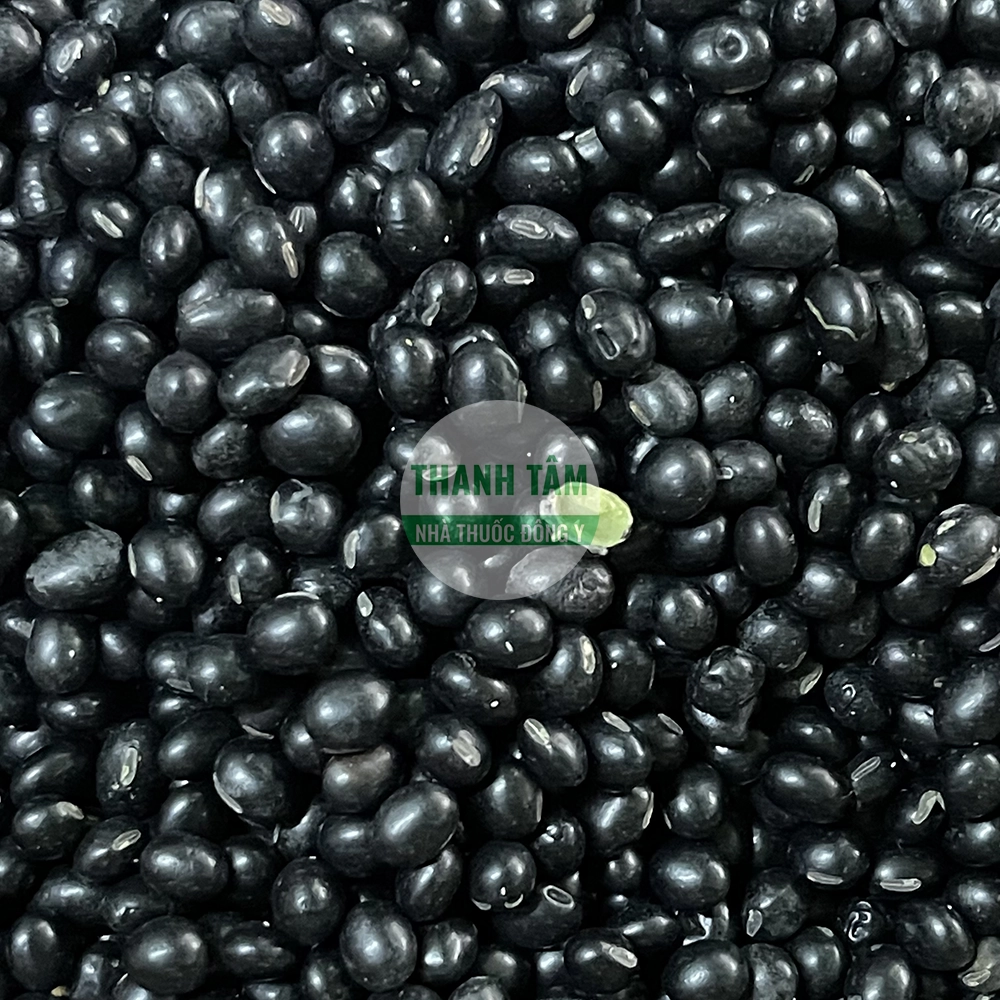 Sprouted black beans used as Đậu quyển in TCM