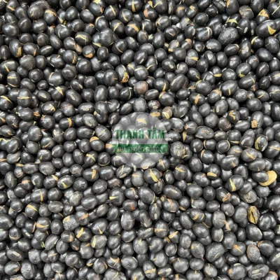 Dried sprouted black beans supplied by Thanh Tam Herbs