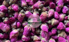 Vị thuốc Hoa hồng Nụ hồng | Cửa Hàng Dược Liệu Thanh Tâm