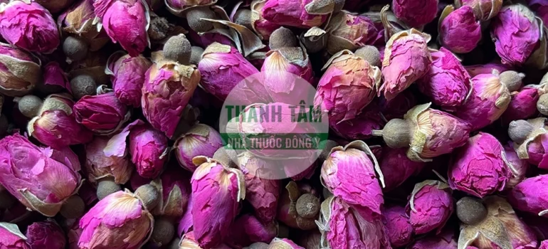 Vị thuốc Hoa hồng Nụ hồng | Cửa Hàng Dược Liệu Thanh Tâm