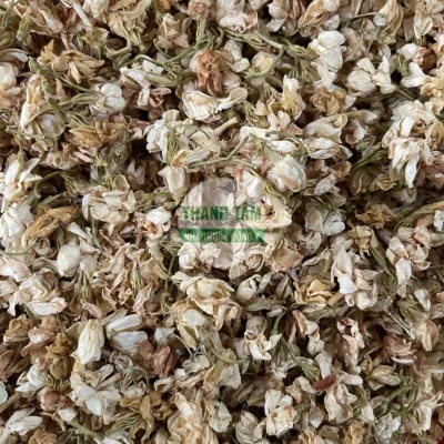Vị thuốc Hoa nhài nở | Cửa Hàng Dược Liệu Thanh Tâm