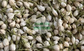 Vị thuốc Hoa nhài nụ | Cửa Hàng Dược Liệu Thanh Tâm