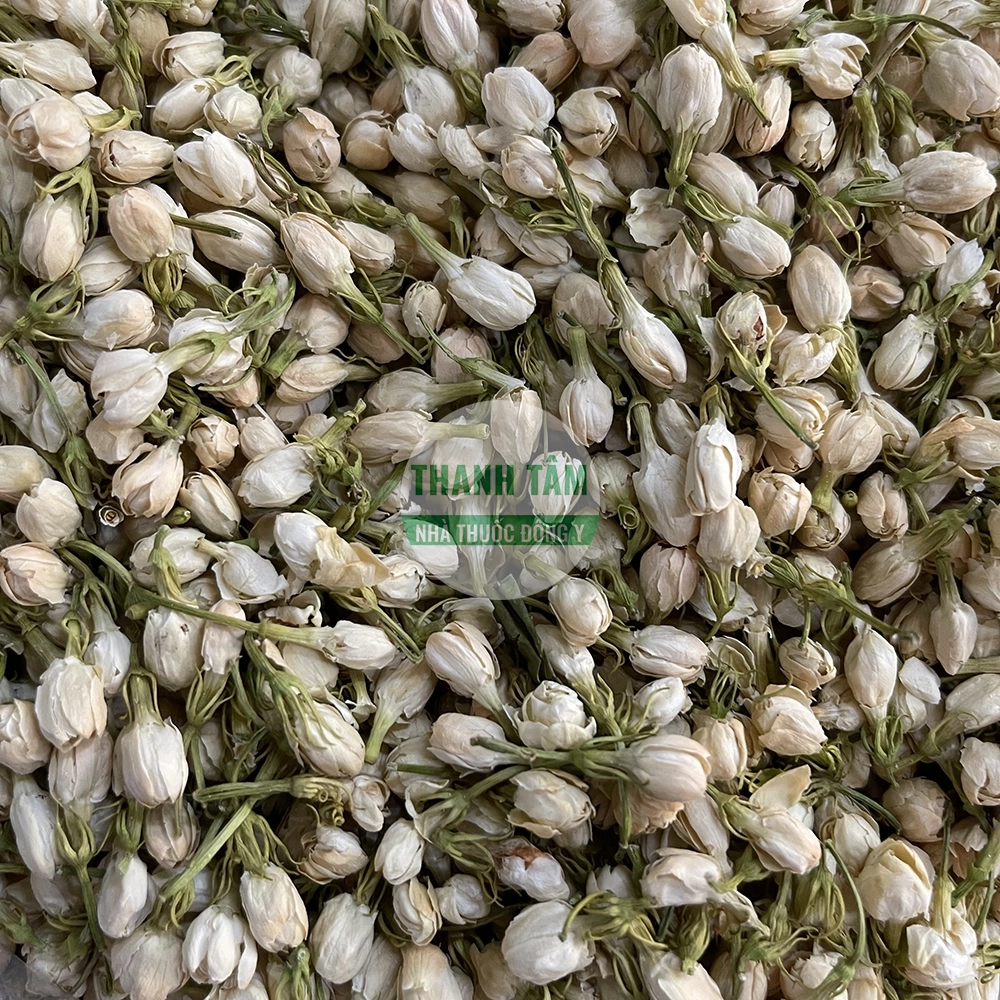 Hoa nhài – dược liệu lý khí và hòa trung trong Đông y