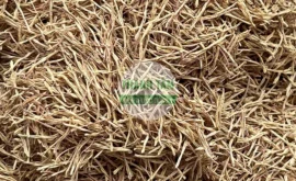 Vị thuốc Liên tu | Cửa Hàng Dược Liệu Thanh Tâm
