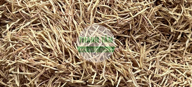 Vị thuốc Liên tu | Cửa Hàng Dược Liệu Thanh Tâm