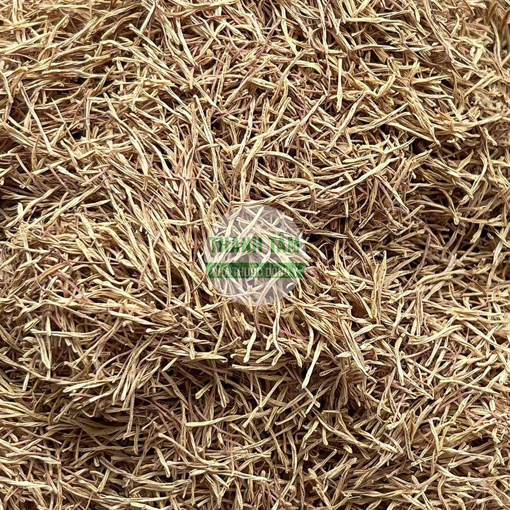 Liên tu – nhị sen dùng làm thuốc trong Đông y