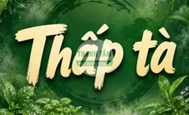 Thấp tà | Tác nhân gây bệnh từ bên ngoài