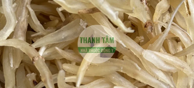Vị thuốc Thiên môn hàng đẹp | Cửa Hàng Dược Liệu Thanh Tâm