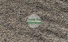 Vị thuốc Thỏ ty tử | Cửa Hàng Dược Liệu Thanh Tâm