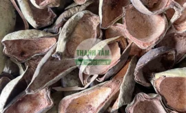 Vị thuốc Vương bất lưu hành loại thường | Cửa Hàng Dược Liệu Thanh Tâm