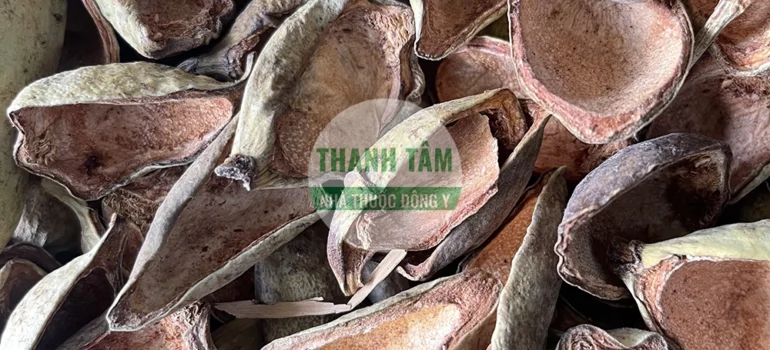 Vị thuốc Vương bất lưu hành loại thường | Cửa Hàng Dược Liệu Thanh Tâm