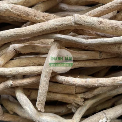 Vị thuốc Xáo tam phân rễ cây | Cửa Hàng Dược Liệu Thanh Tâm