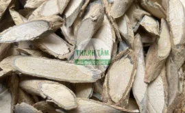 Vị thuốc Xáo tam phân rễ phiến | Cửa Hàng Dược Liệu Thanh Tâm