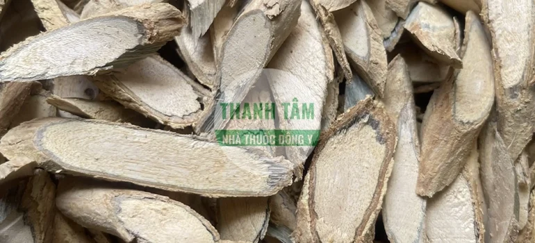 Vị thuốc Xáo tam phân rễ phiến | Cửa Hàng Dược Liệu Thanh Tâm