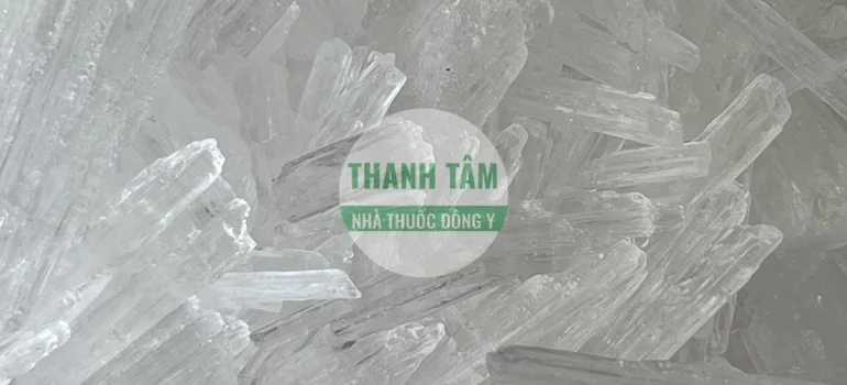 Vị thuốc Bạc hà băng | Cửa Hàng Dược Liệu Thanh Tâm