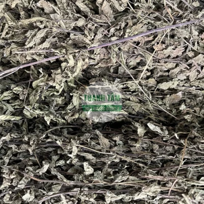 Vị thuốc Bạc hà thảo cắt ngắn | Cửa Hàng Dược Liệu Thanh Tâm