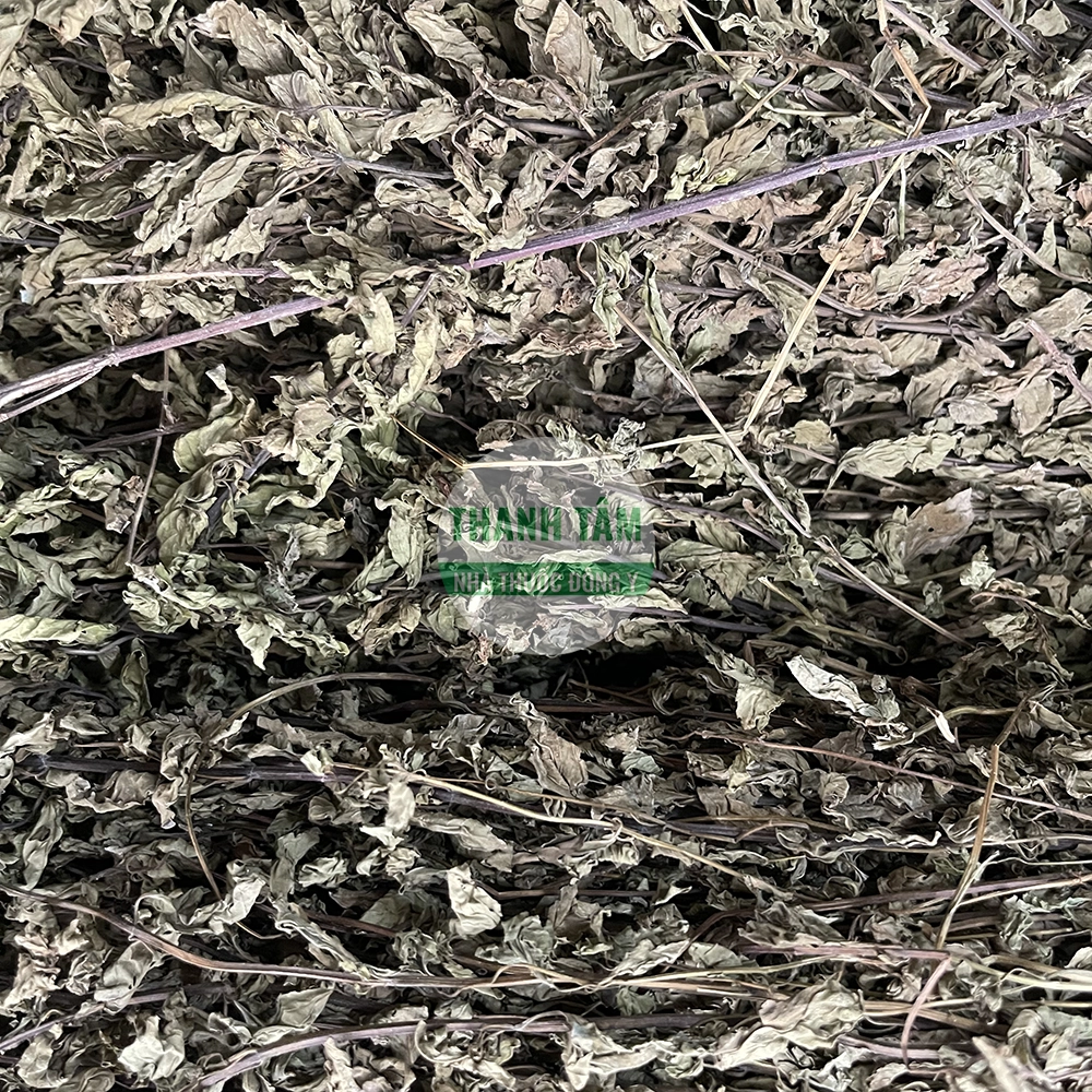Mint Herb used in TCM herbal practice