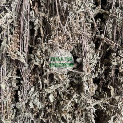 Whole Mint Herb used in TCM | Thanh Tam Herbs