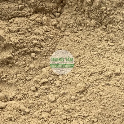 Dried Ginger Powder | Thanh Tam Herbs