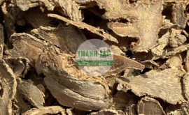 Vị thuốc Can khương Gừng khô phiến | Cửa Hàng Dược Liệu Thanh Tâm