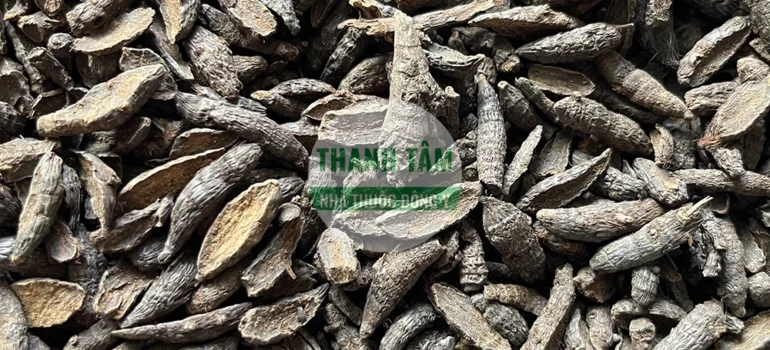 Vị thuốc Hương phụ bắc phiến | Cửa Hàng Dược Liệu Thanh Tâm