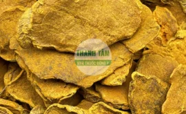Vị thuốc Khương hoàng Nghệ vàng thân rễ phiến | Cửa Hàng Dược Liệu Thanh Tâm