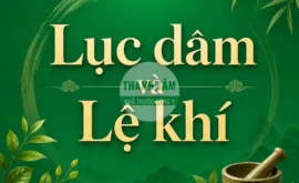 Lục dâm và Lệ khí | Tác nhân gây bệnh từ bên ngoài