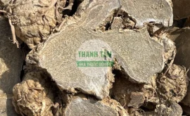 Vị thuốc Nga truật bắc Nghệ đen phiến | Cửa Hàng Dược Liệu Thanh Tâm