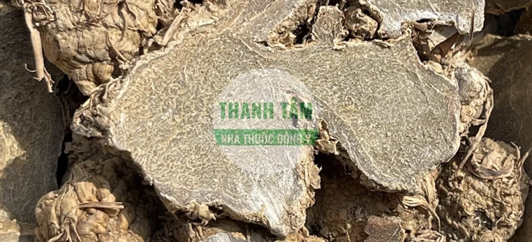 Vị thuốc Nga truật bắc Nghệ đen phiến | Cửa Hàng Dược Liệu Thanh Tâm