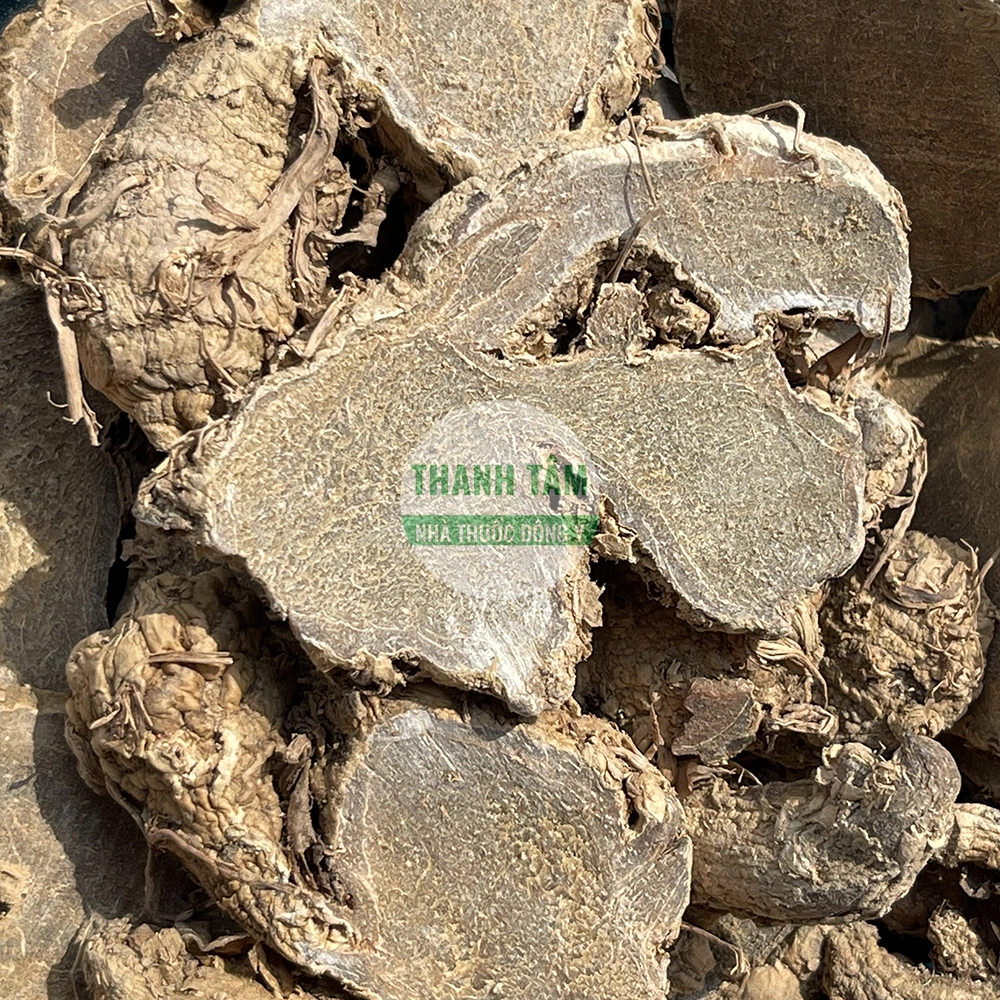 Zedoary E Zhu dried TCM herb from Curcuma zedoaria rhizome