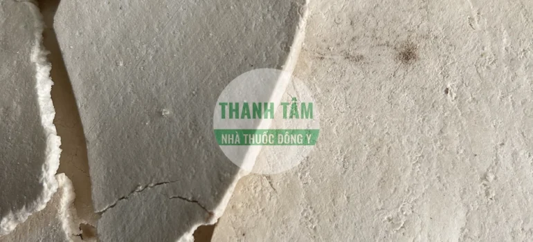 Vị thuốc Phục thần | Cửa Hàng Dược Liệu Thanh Tâm