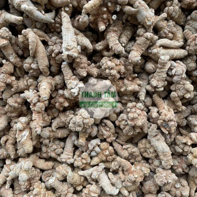 Vị thuốc Tam thất bắc củ | Cửa Hàng Dược Liệu Thanh Tâm