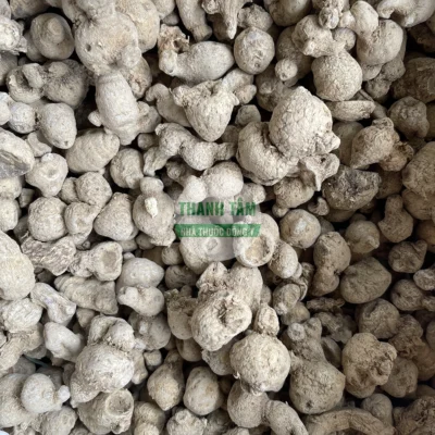 Vị thuốc Tam thất nam củ | Cửa Hàng Dược Liệu Thanh Tâm