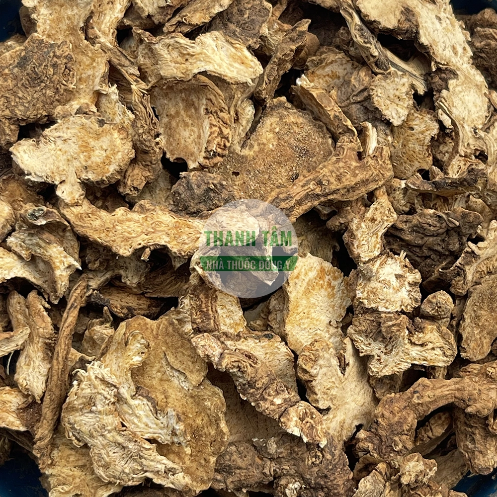 Thương truật Atractylodes lancea dược liệu Đông y