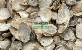 Vị thuốc Uất kim Nghệ vàng rễ phiến | Cửa Hàng Dược Liệu Thanh Tâm