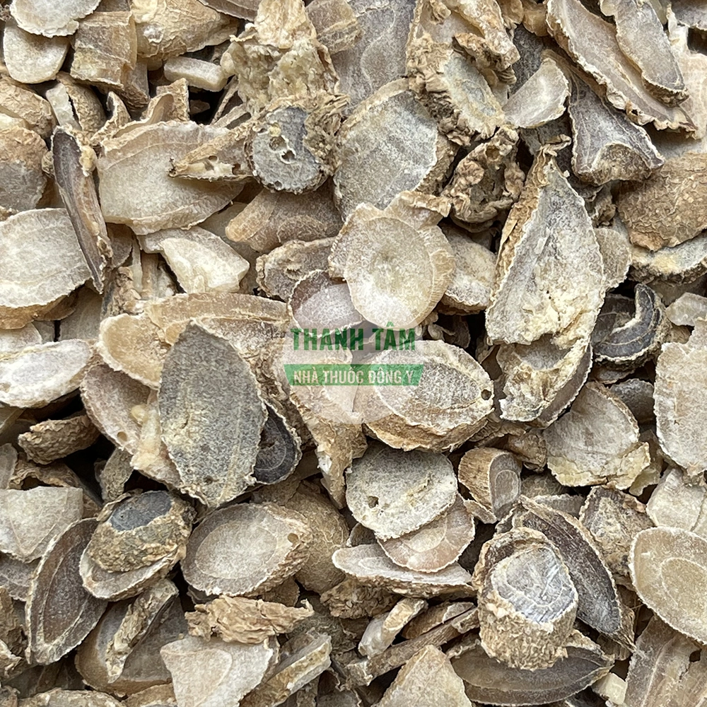 Uất kim Nghệ vàng rễ – vị thuốc Đông y