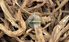 Vị thuốc Bách bộ | Cửa Hàng Dược Liệu Thanh Tâm