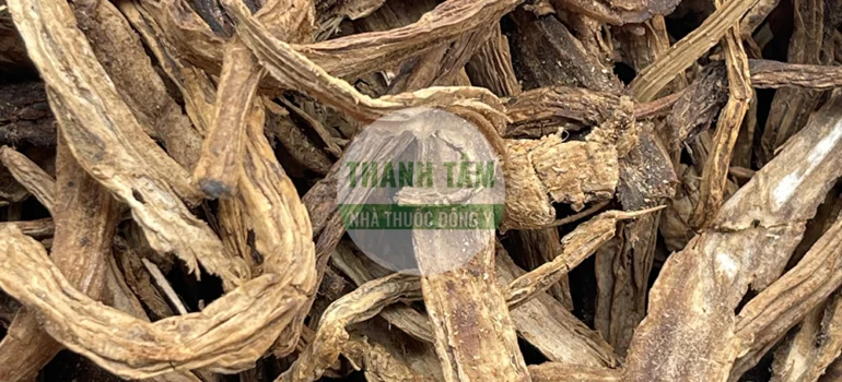 Vị thuốc Bách bộ | Cửa Hàng Dược Liệu Thanh Tâm