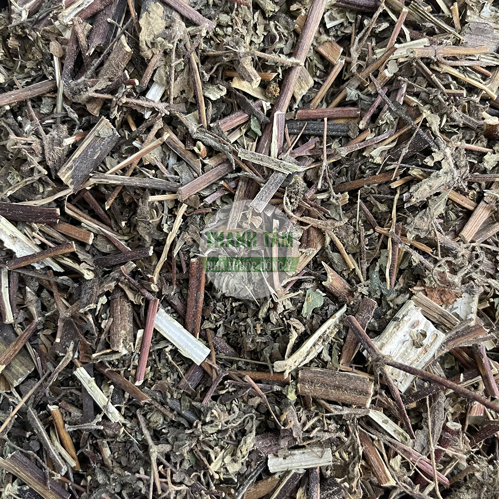 Hy thiêm Siegesbeckia orientalis Herba Siegesbeckiae dược liệu Đông y