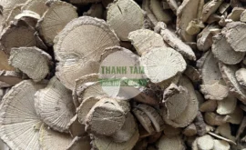 Vị thuốc Mộc thông | Cửa Hàng Dược Liệu Thanh Tâm