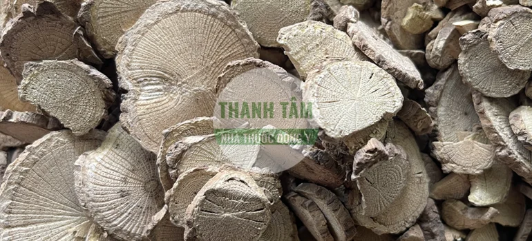 Vị thuốc Mộc thông | Cửa Hàng Dược Liệu Thanh Tâm