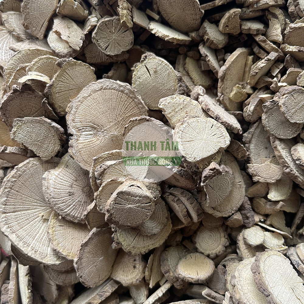Mộc thông Caulis Clematidis Clematis armandii dược liệu Đông y