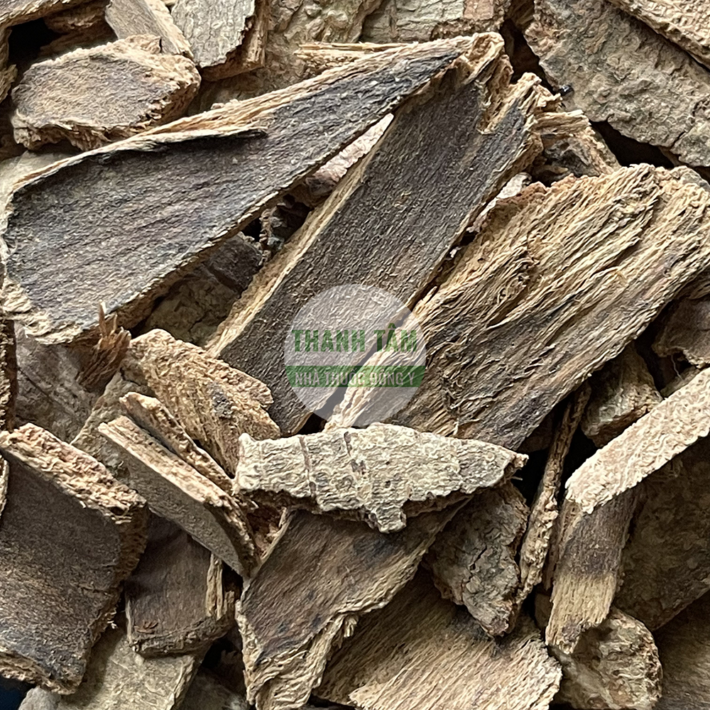 Acanthopanax Bark Ngũ gia bì gai herb for Wind-Dampness