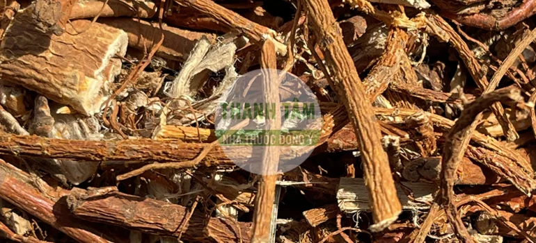 Vị thuốc Tang bạch bì | Cửa Hàng Dược Liệu Thanh Tâm
